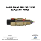 Cable Gland Peppers Explosion Proof E1WBF 2