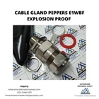 Cable Gland Peppers Explosion Proof E1WBF 1
