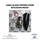 Cable Gland Peppers Explosion Proof E1WBF 3