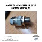Cable Gland Peppers Explosion Proof E1WBF 2