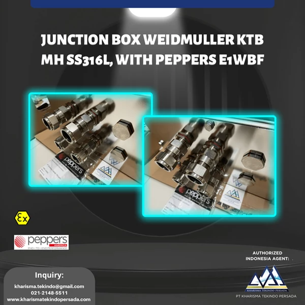 JUNCTION BOX WEIDMULLER KTB MH SS316L with PEPPERS E1WBF